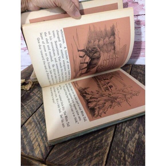 1938 First Edition “White Tail King Of The Forest” By Nell Stolp Smock - Picture 7 of 15